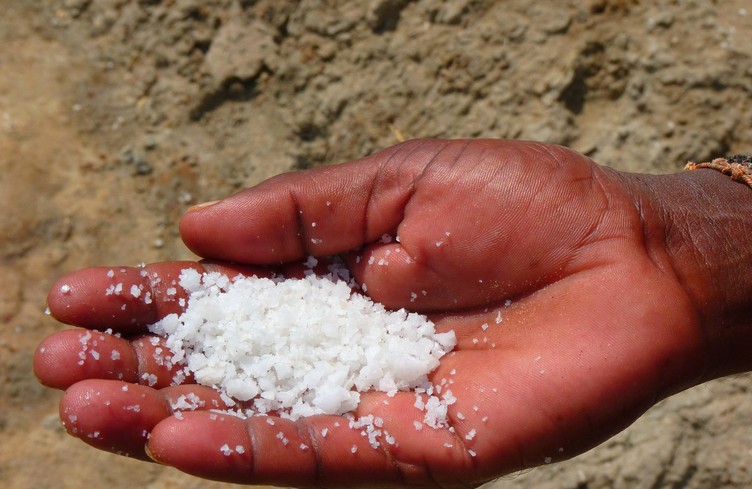 Un peu de SEL dans votre matinée!