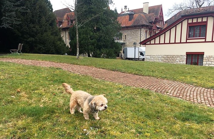 7h50: avec son chien en EMS !
