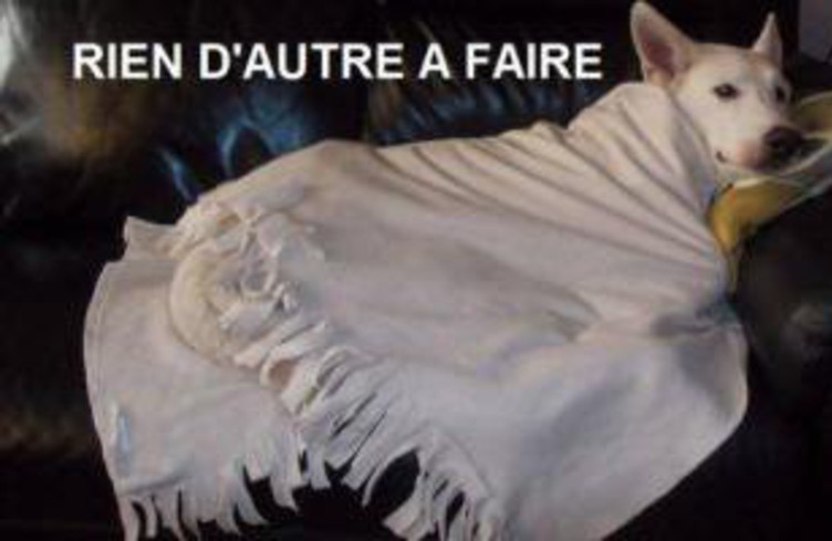En écoutant Bulle de folie !
