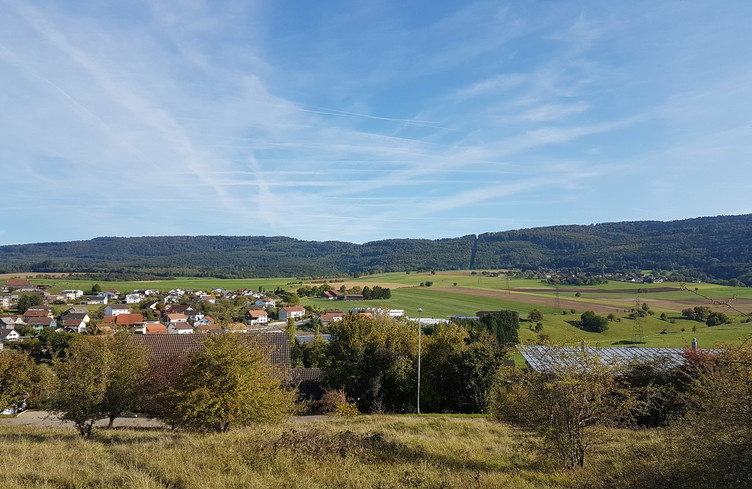 7h50: les prairies extensives