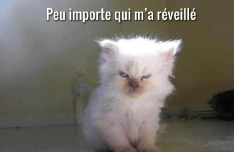 La Matinale du Samedi fait remonter les degrés!