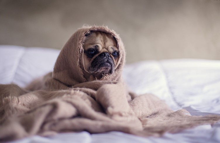 Pause cocooning dans B12 entre 9h et 11h!
