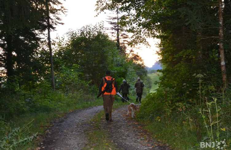 Ouverture de la chasse: reportage à 7h35