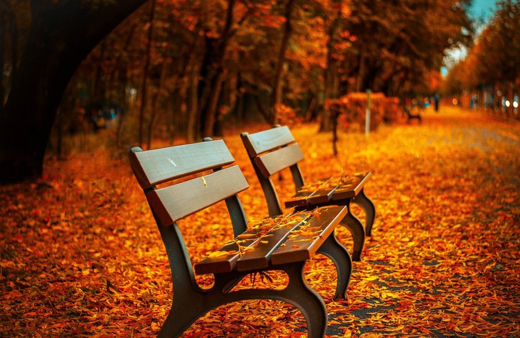 DEFI: une preuve que l'automne est là!