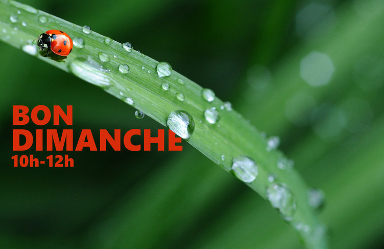 Bon dimanche vous délivre vos dédicaces jusqu'à midi