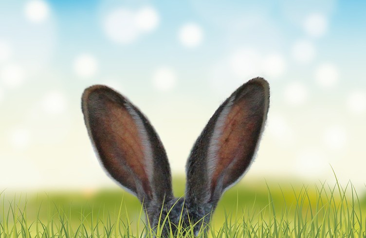 Même le lapin de Pâques écoute B12!