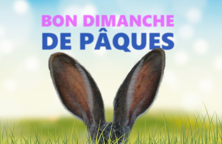 Vos dédicaces de Pâques jusqu'à midi!