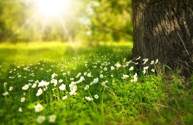 Si vous cherchez le printemps, il est dans B12 !