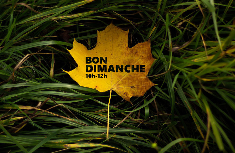 Des dédicaces d'automne jusqu'à midi