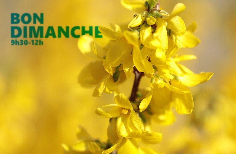Vos dédicaces de printemps jusqu'à midi