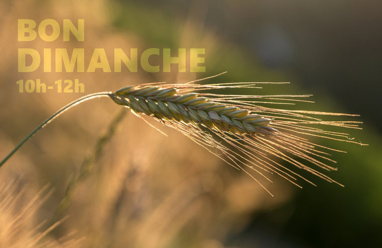 C'est l'été dans Bon Dimanche