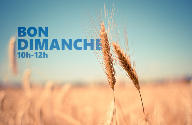 Il fait beau et chaud dans Bon Dimanche, c'est l'été!