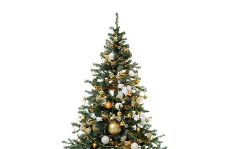 Matinée de fêtes de Noël !