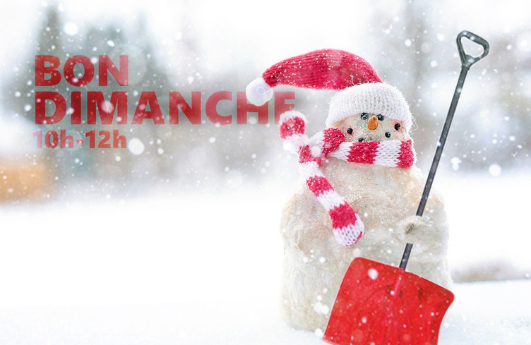 Bon dimanche sous la neige jusqu'à midi