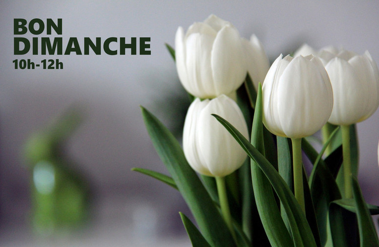 Les dédicaces de Bon dimanche jusqu'à midi