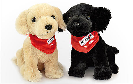 Le duo de labradors Jim et Jack, mascotte du Téléton 2012, a rencontré un joli succès. 