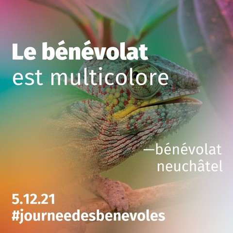 Bénévolat Neuchâtel