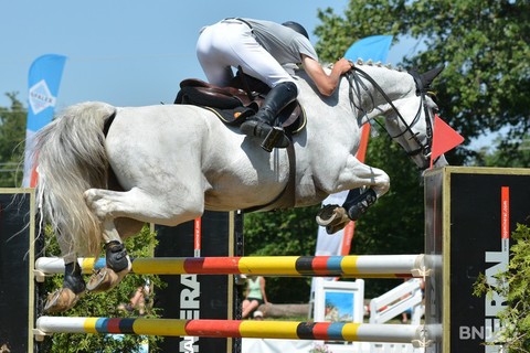 concours hippique