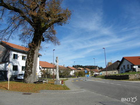 Lajoux