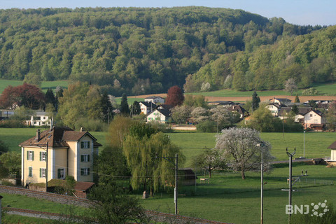 Courtemaîche