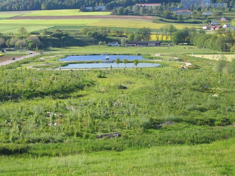 l'étang Corbat à Porrentruy (photo : www.jura.ch)