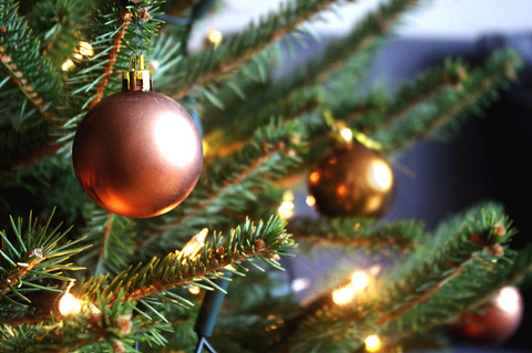 Noël, sapin