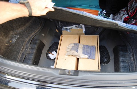 Les perroquets se trouvaient dans une boîte en bois (photo : Département fédéral des finances)
