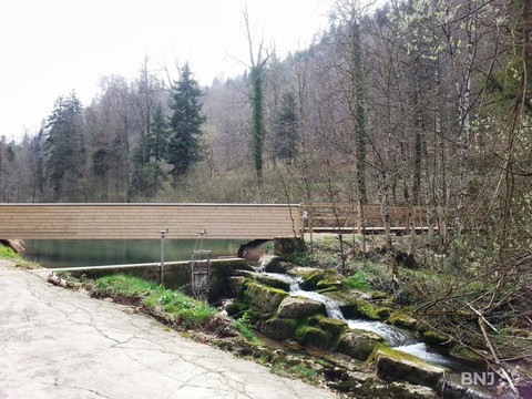 Fosse de retenue et passerelle en amont du Lac de Lucelle