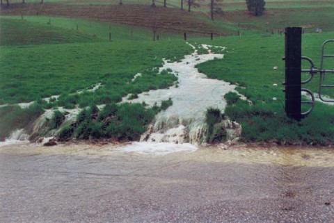 Le ruisseau problématique coule sur la route en direction de Pleigne depuis Bourrignon