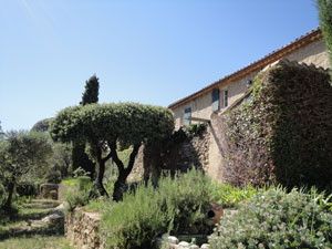 La Sarrazine