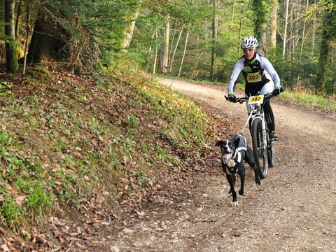 Séverine Boillat et Tymon ont signé une nouvelle victoire