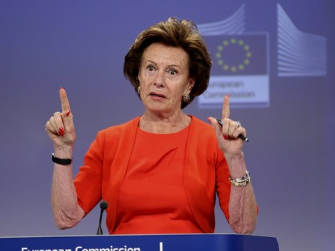 Une ex-commissaire européenne dirigeait une société offshore