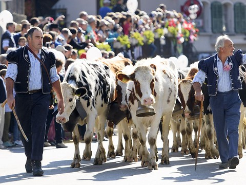 Le retour des vaches à Charmey fêté par des milliers de personnes
