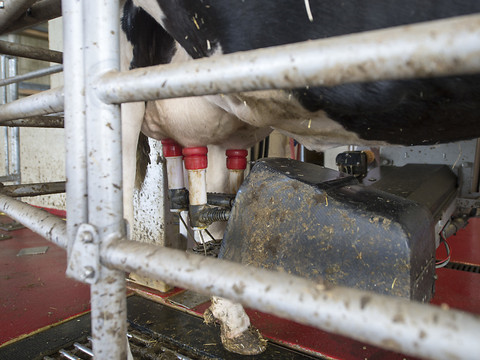 Revenu des agriculteurs suisses en hausse en 2016