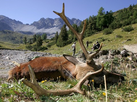 Bilan mitigé au terme de la saison