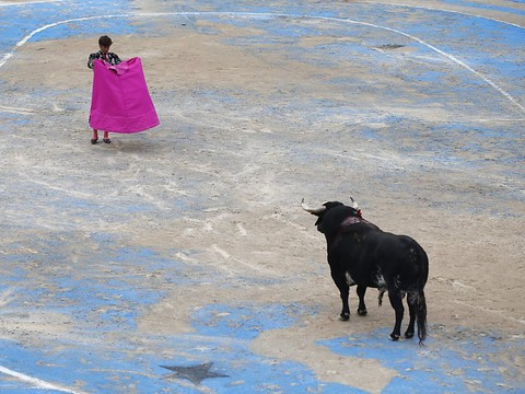 Catalogne: la justice espagnole annule l'interdiction des corridas