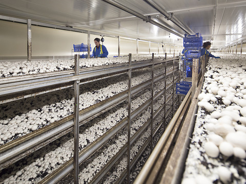 La production suisse augmente, les importations aussi