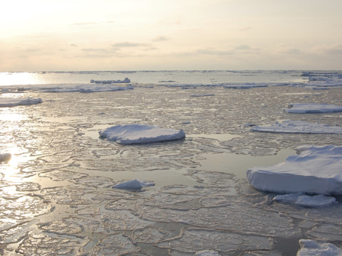 Chaleur inédite sur l'Arctique, en plein 