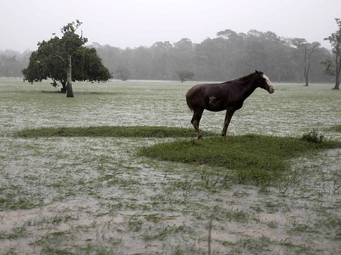 Ouragan Otto: au moins neuf morts au Costa Rica