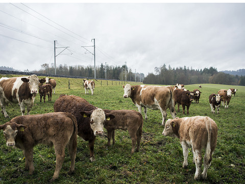 Le Conseil des Etats refuse de couper dans l'agriculture