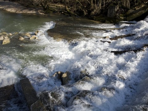 Le mystère de la disparition des poissons dans la Birse demeure