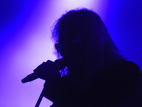 Le chanteur Michel Polnareff victime d'une 