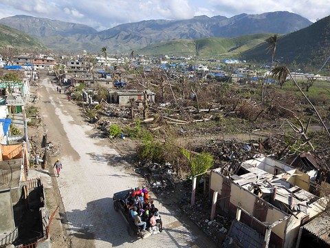 Haïti: pertes agricoles estimées à 586 millions après Matthew