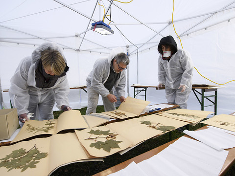 Exercice de sauvetage au Jardin botanique de Genève