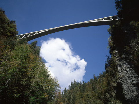 La Suisse propose un pont et des forêts pour le Patrimoine mondial