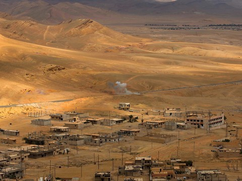 Syrie: combats entre l'EI et le régime aux portes de Palmyre (OSDH)