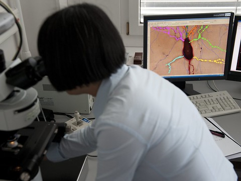 Bâle: les neurones ont des copies de gènes en stock