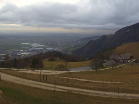 Noël vert, doux et sous la grisaille