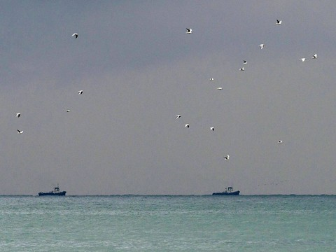 Un avion russe en vol pour la Syrie s'abîme dans la mer noire