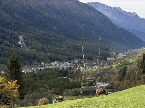 Températures printanières à Noël